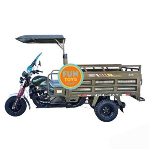 Gasoline Tricycle
