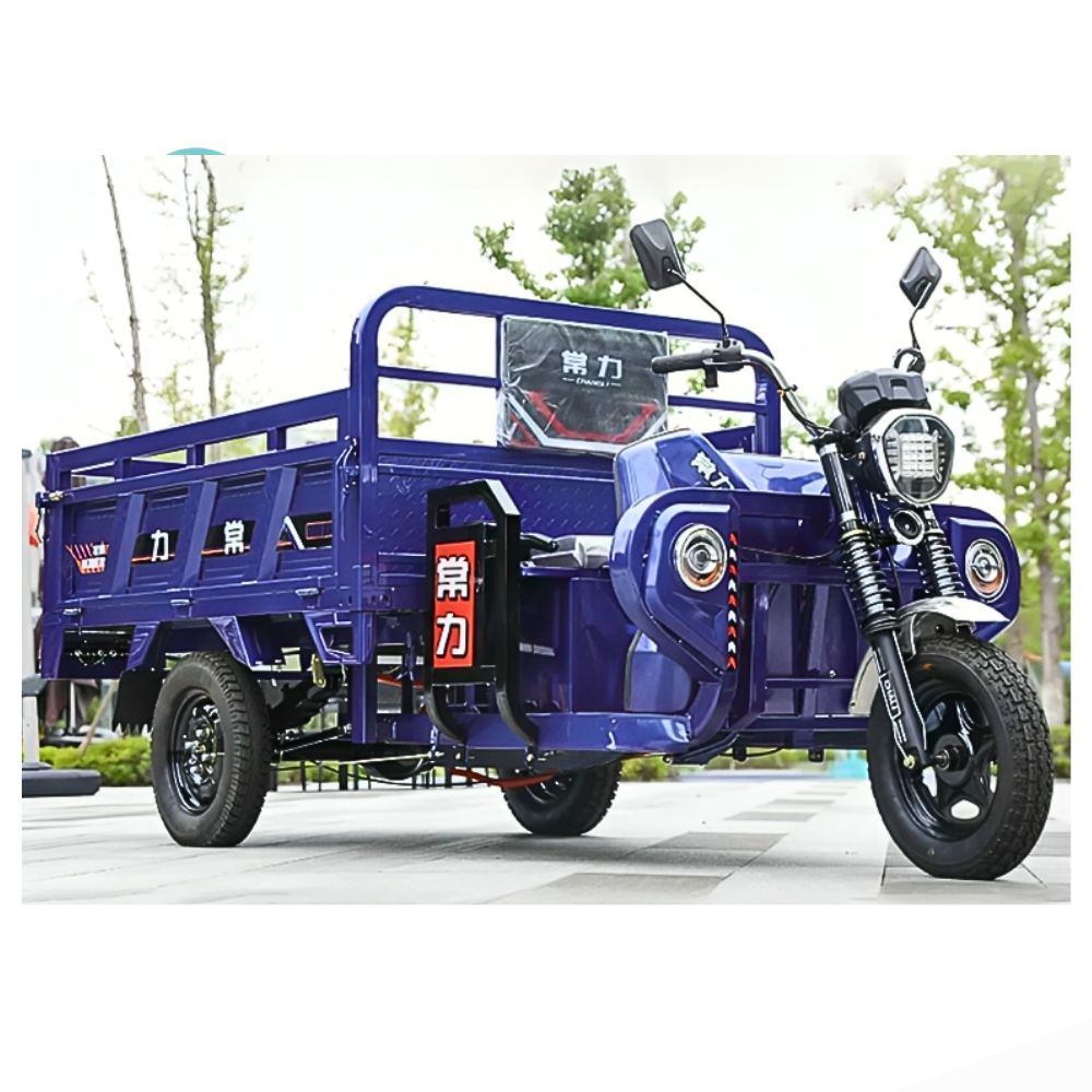 Electric Cargo Tricycle - Image 2