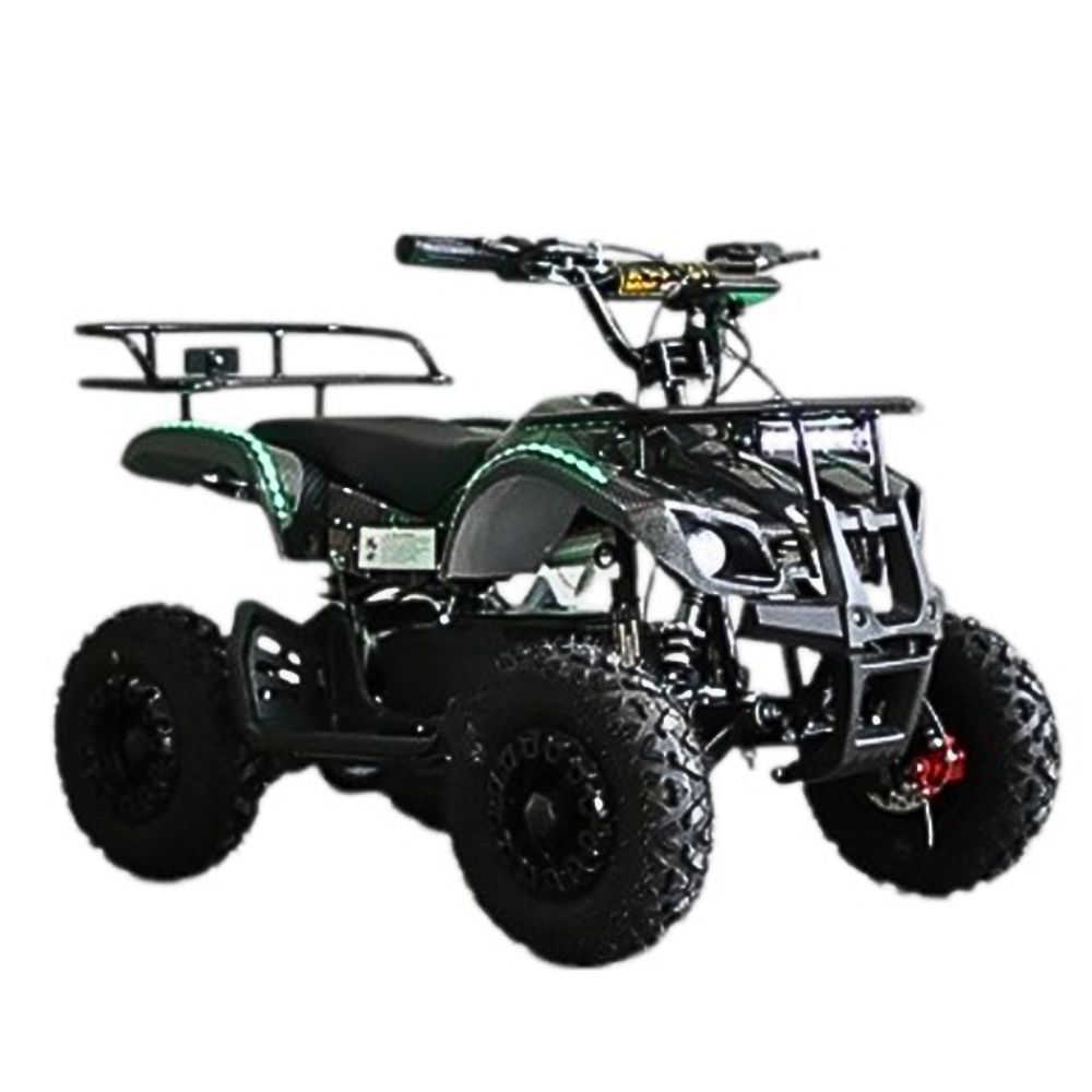 Electric Cargo Buggy - Image 4