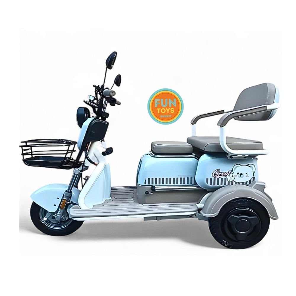 Electric charging tuk-tuk (Copy) - Image 2