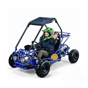 10cc gasoline car