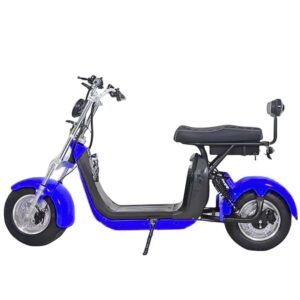 Harley Electric Scooter