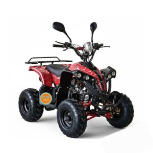 125cc gasoline buggy