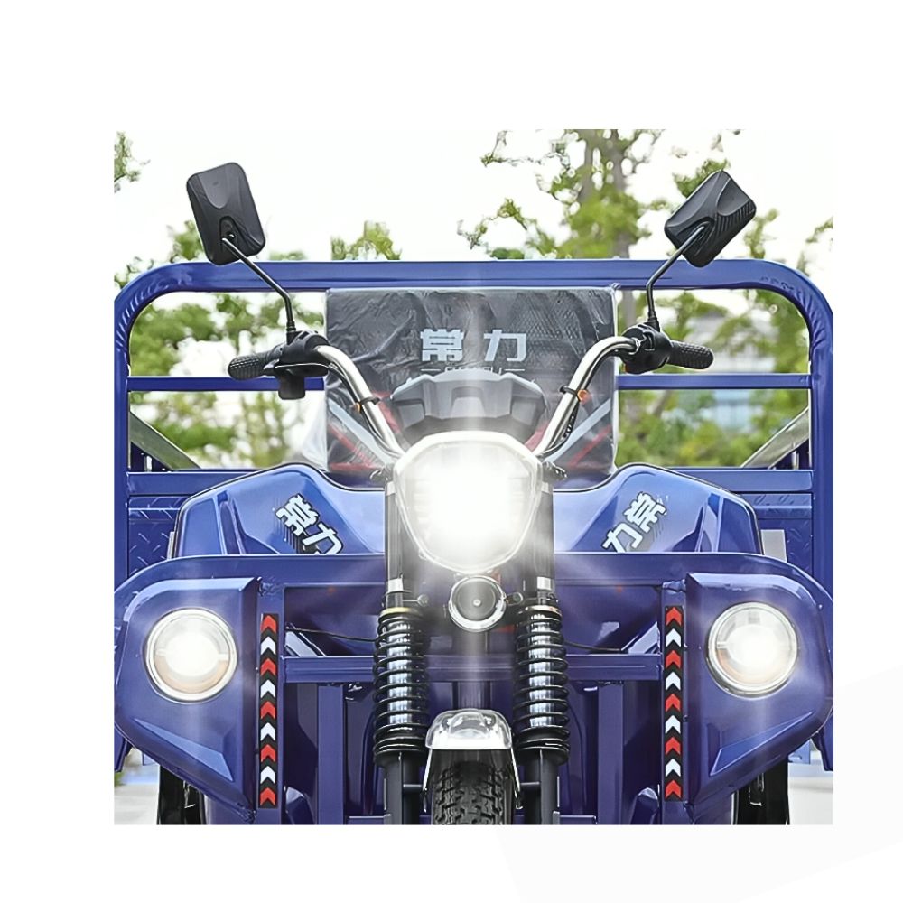 Electric Cargo Tricycle - Image 3