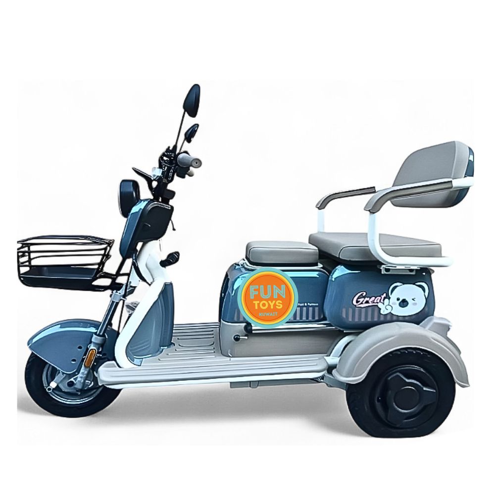 Electric charging tuk-tuk (Copy)