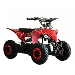 Electric Buggy