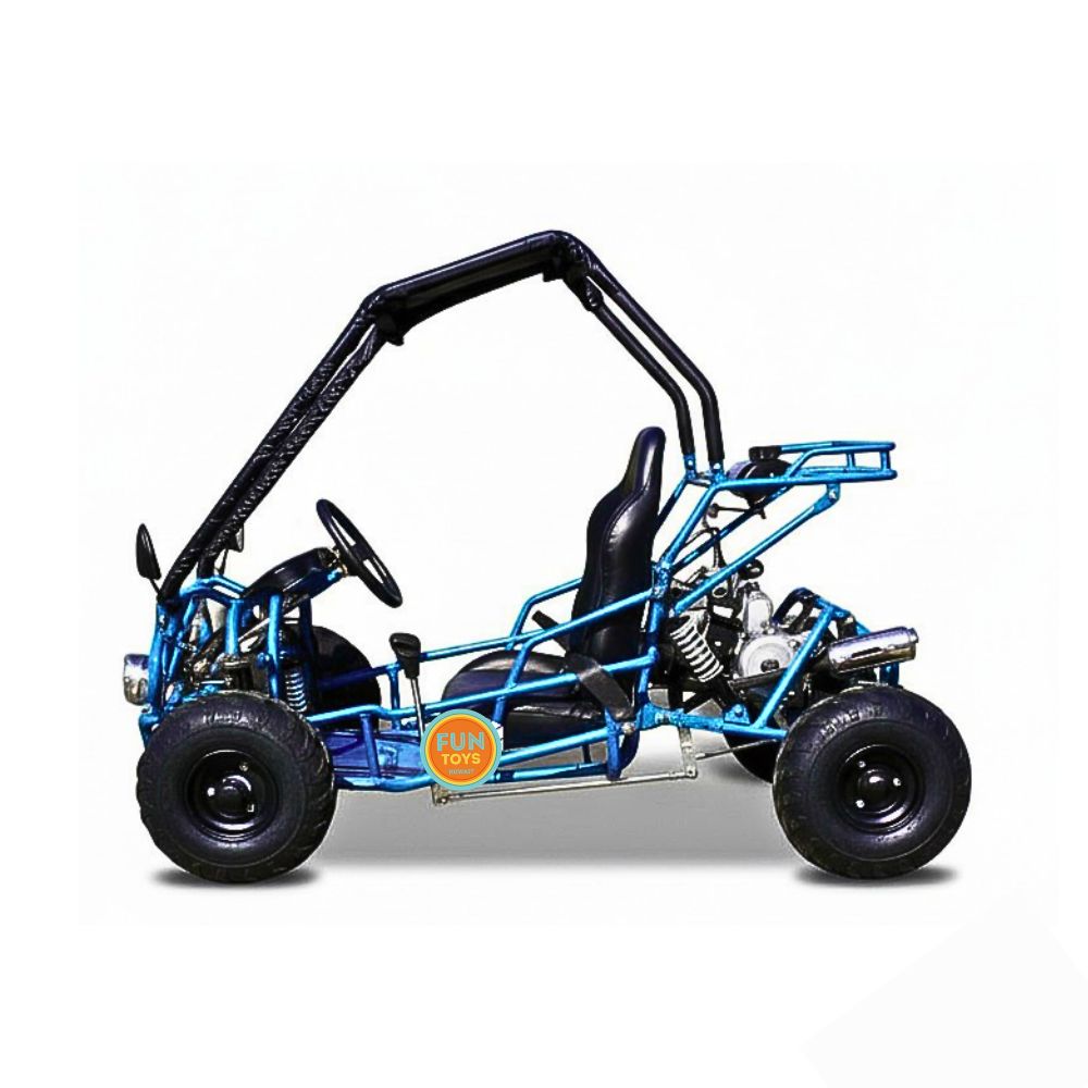 10cc gasoline car