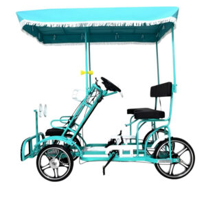 2 person umbrella bike