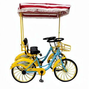 2 person umbrella bike