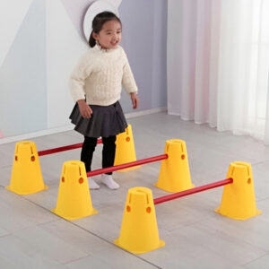 Physical training hurdles
