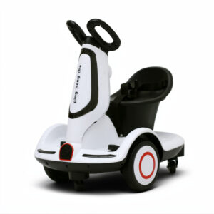 Electric Transport Vehicle
