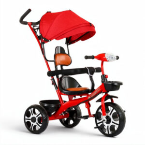 Bike with canopy